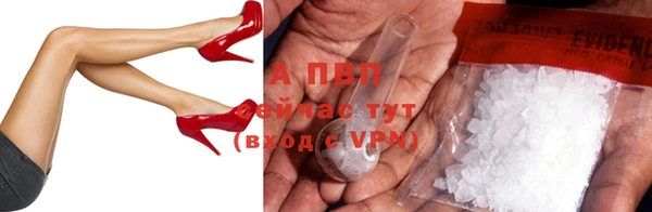 бошки Богданович