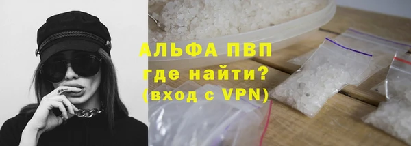 бошки Богданович