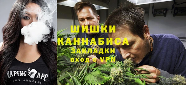 бошки Богданович