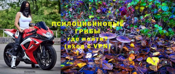 метадон Богородицк