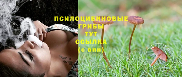 бошки Богданович
